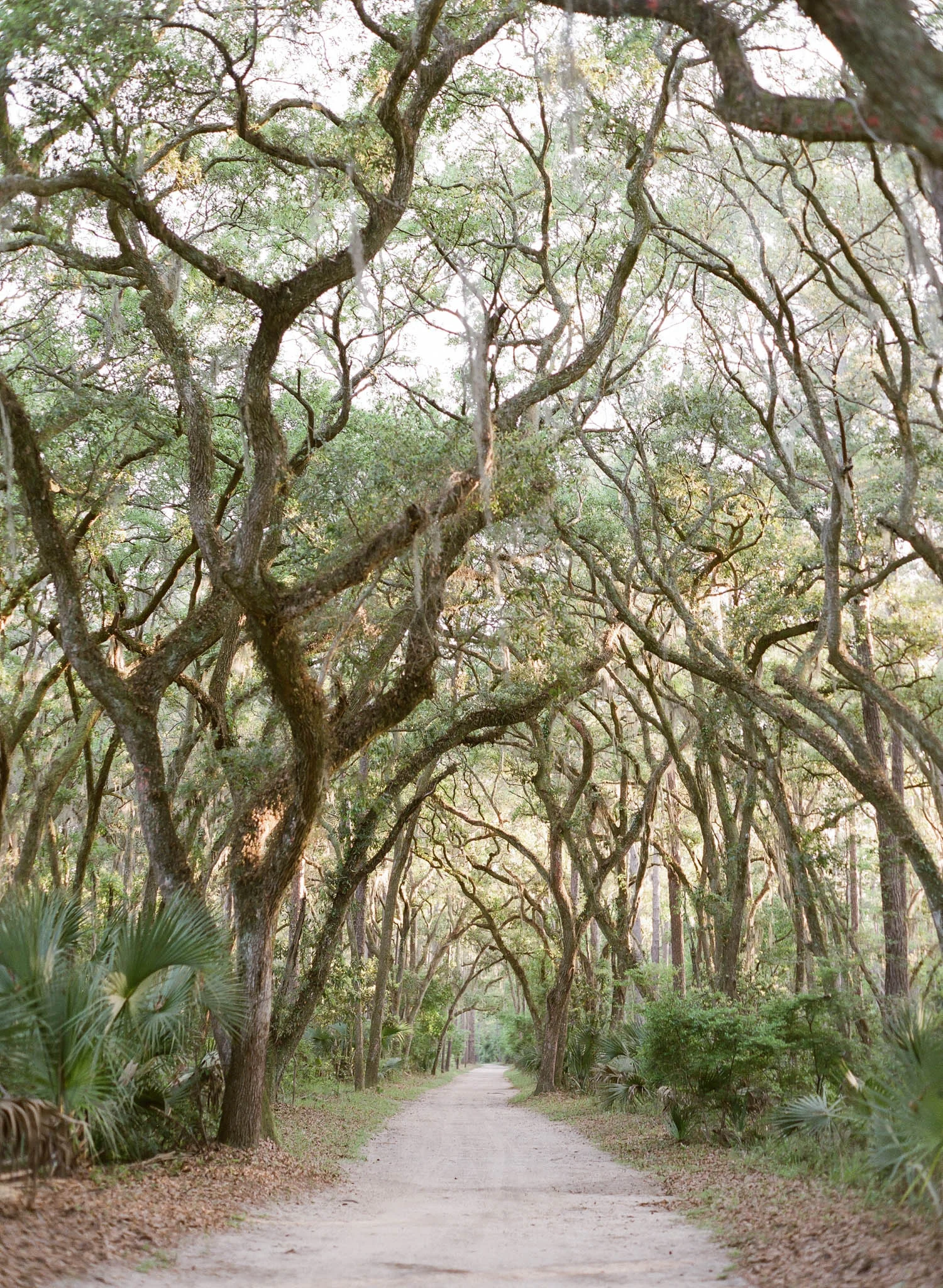 Palmetto-Bluff-Wedding-Photographer-81.jpg