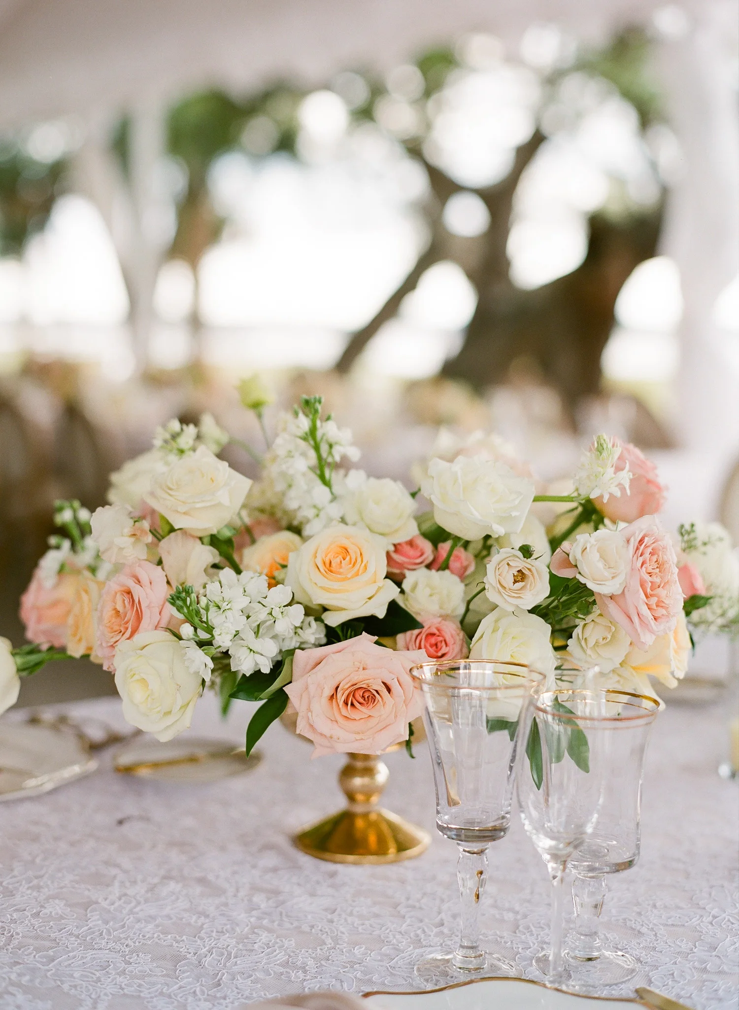 Charleston-Lowndes-Grove-Wedding-PPHG-93.jpg