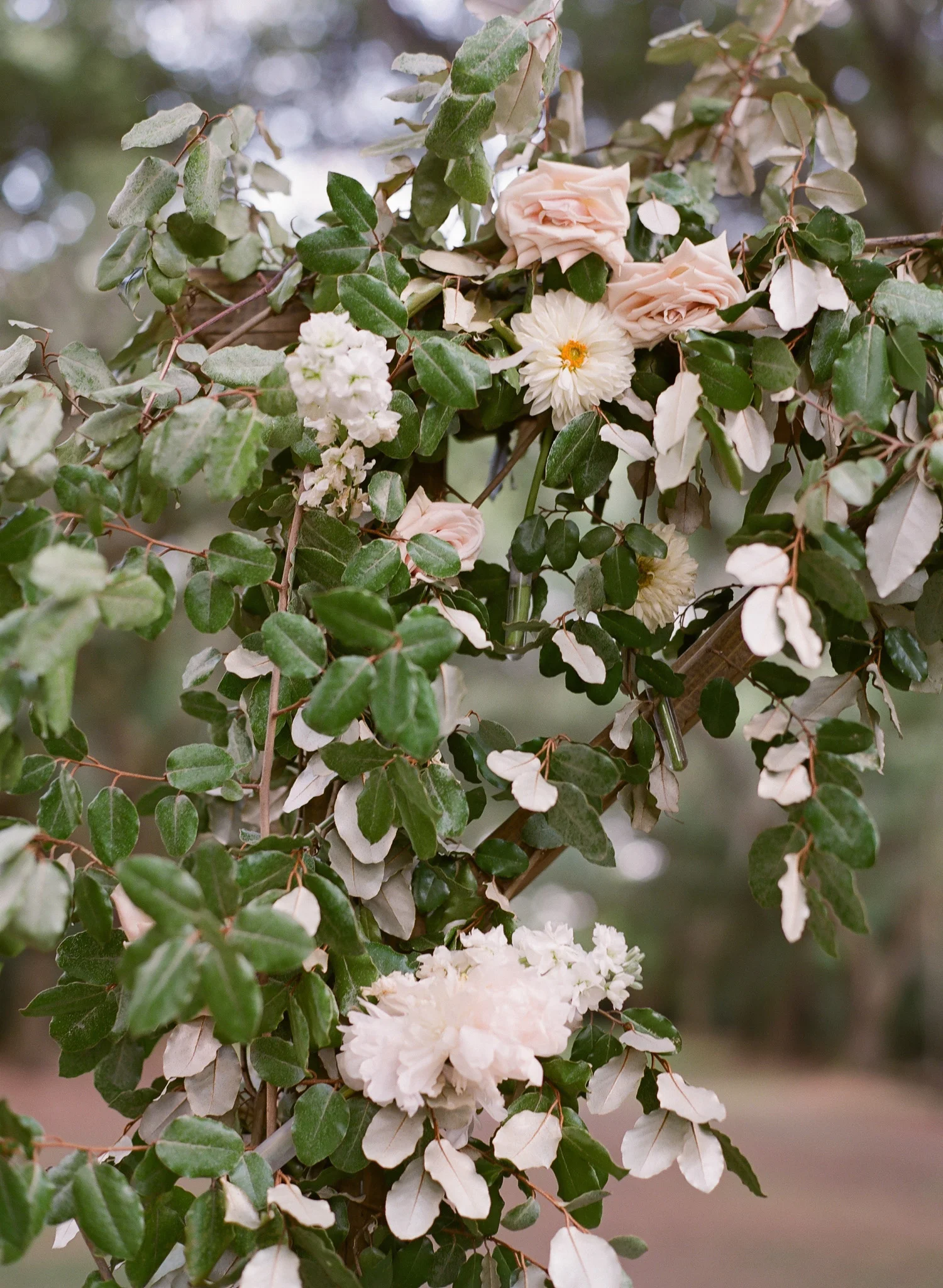 Charleston-Wedding-Legare-Waring-House-68.jpg