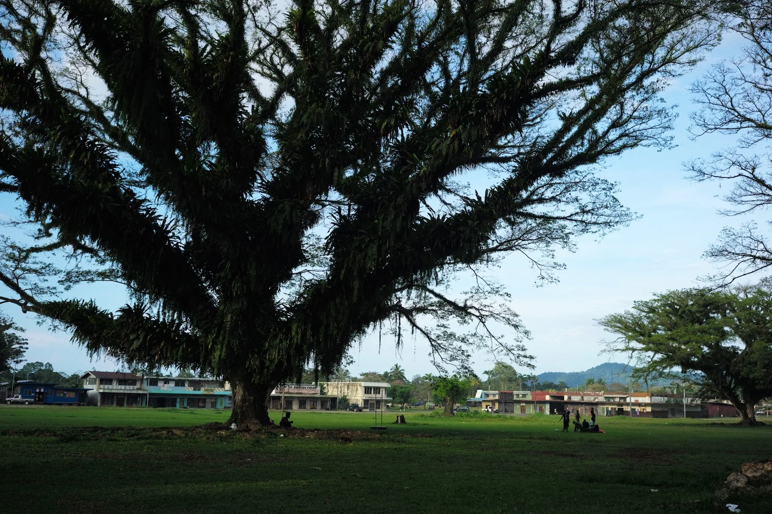 L1009602.jpg