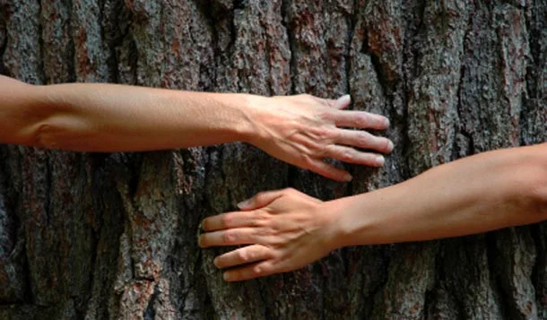 Chattahoochee Nature Center