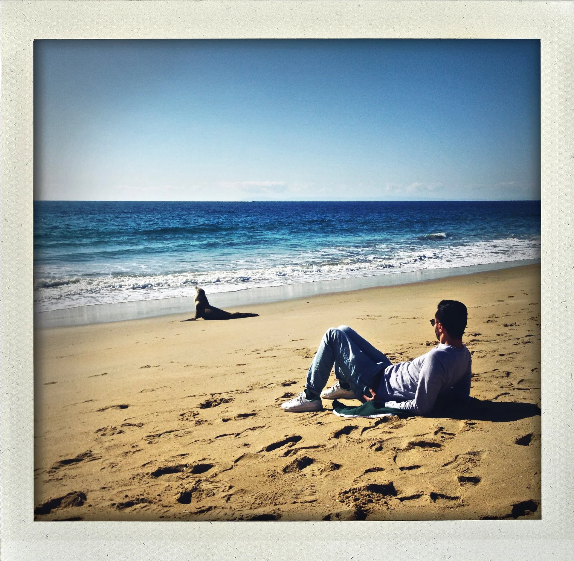 Permission to observe the wildlife.