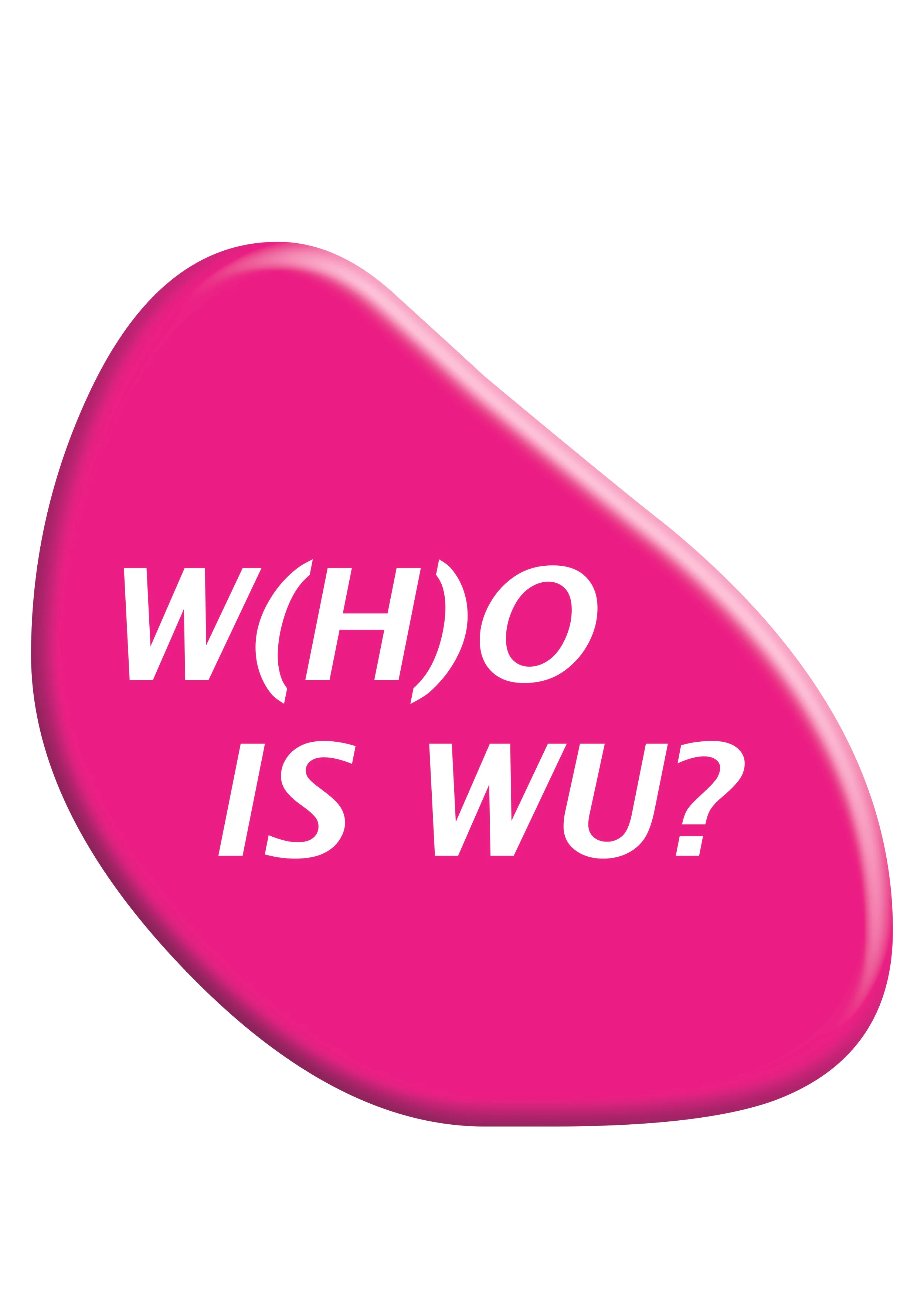 Exhibition W(H)O IS WU? at Friday Exit Vienna
