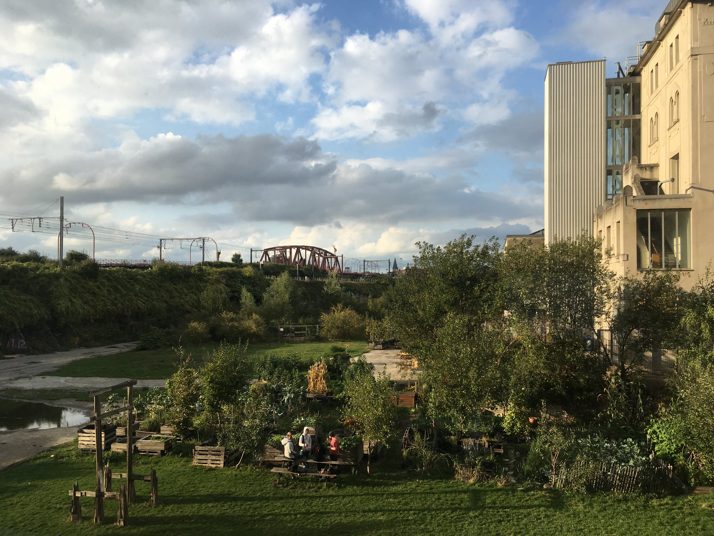 View from WIELS building