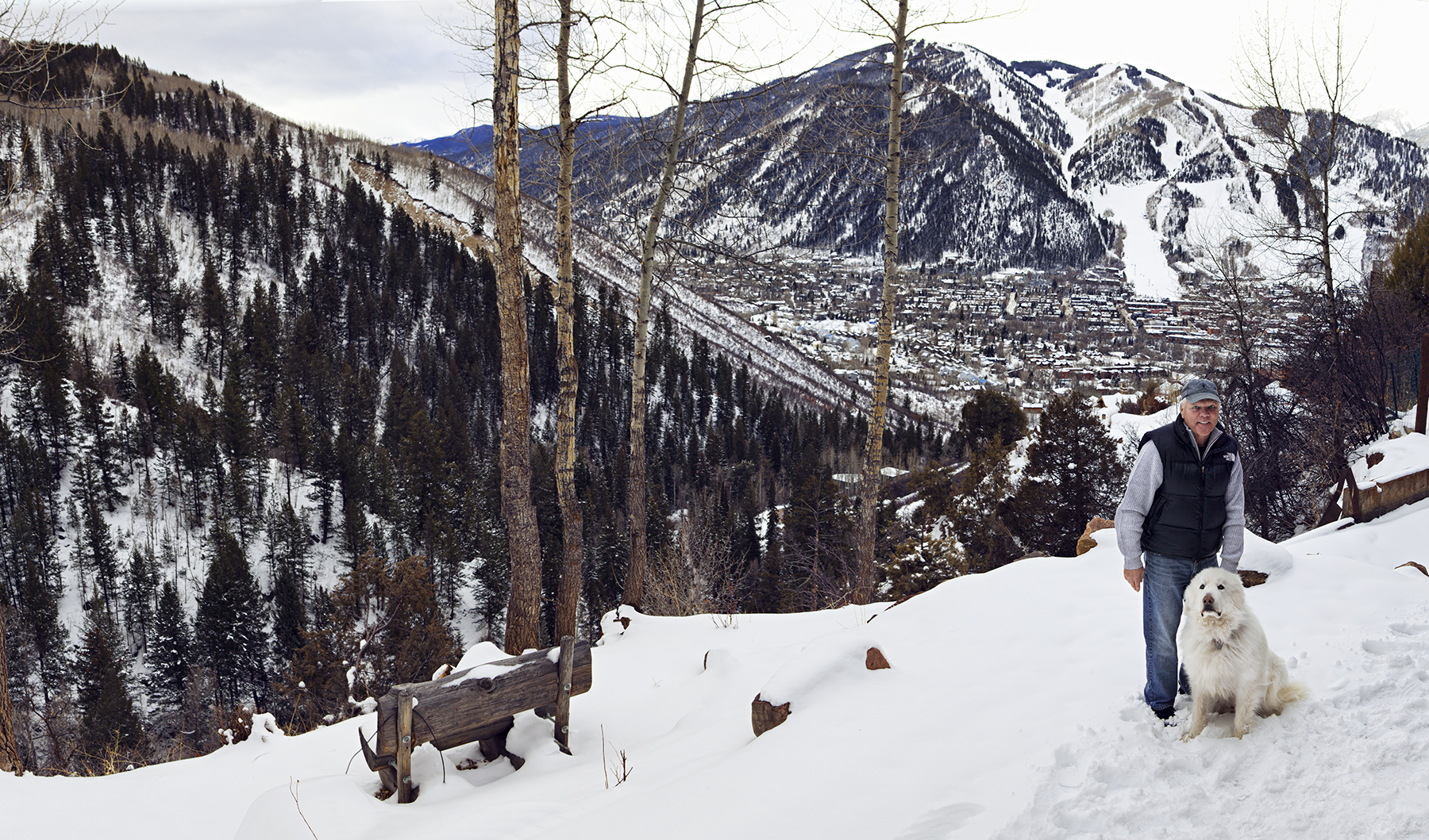 DUT_Nonstop_JerryHosier_Yard_Panorama1_Processed.jpg