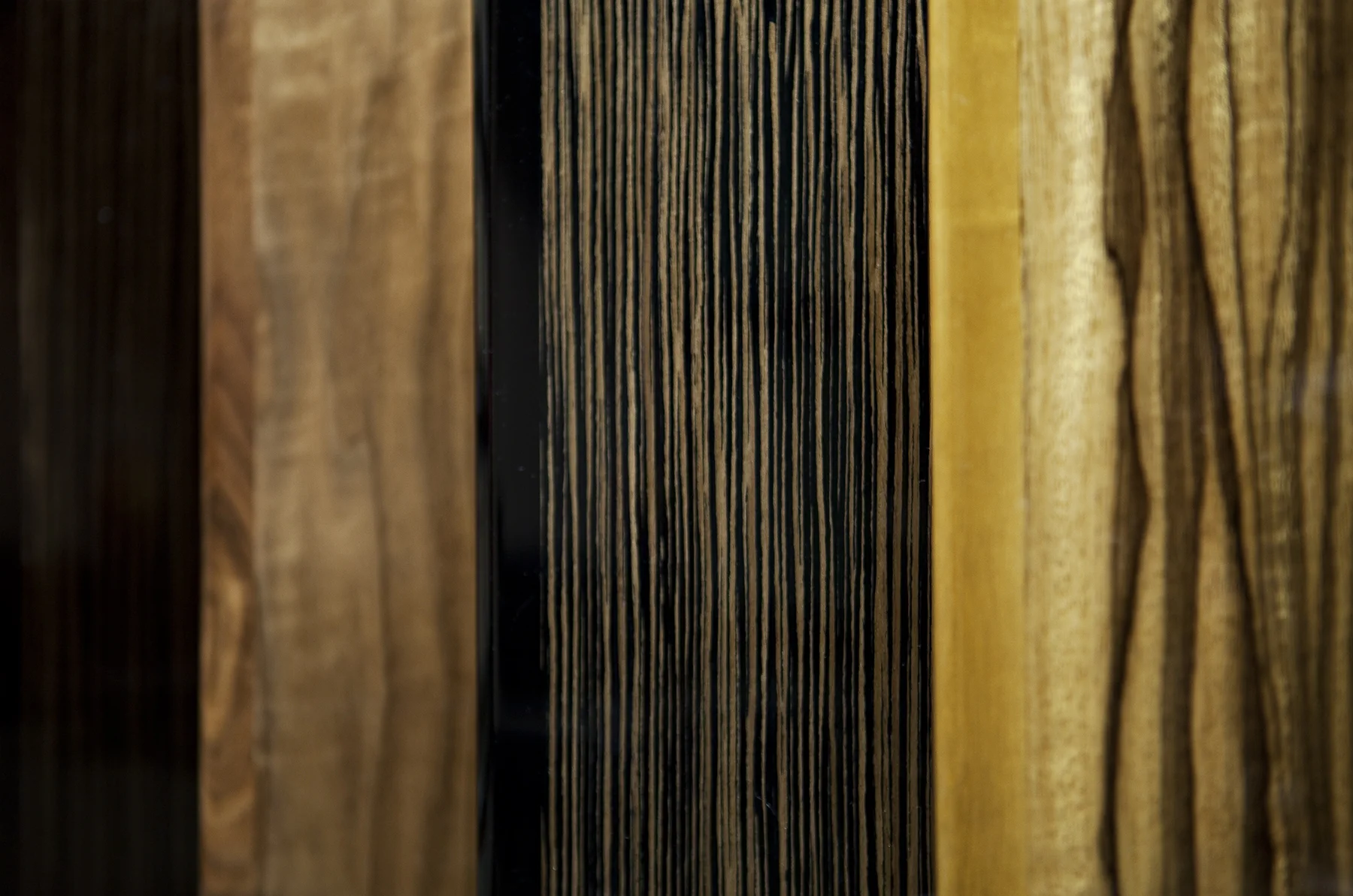 DUT_July2011_Nonstop_Woods_4.jpg