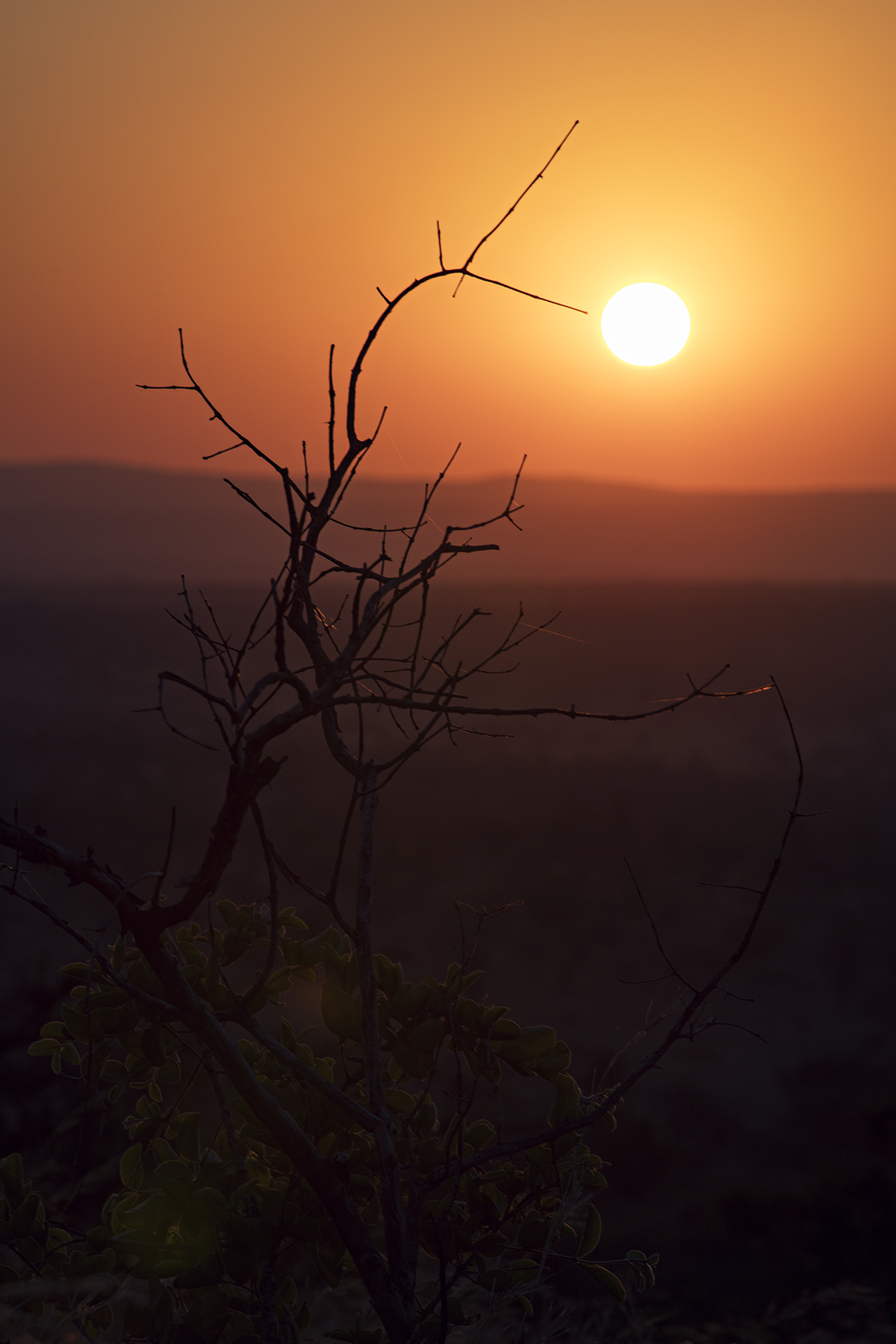 Dut_Nonstop_Mabula_Oct2015_1596.jpg