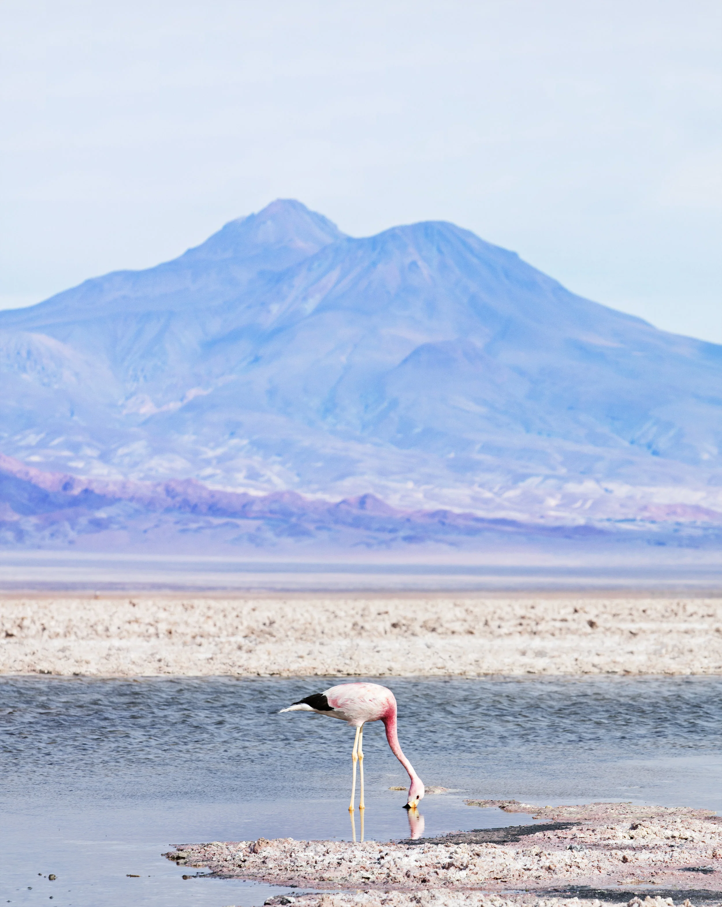 dut_20161130_Chile_AtacamaDesert_1488_2.jpg