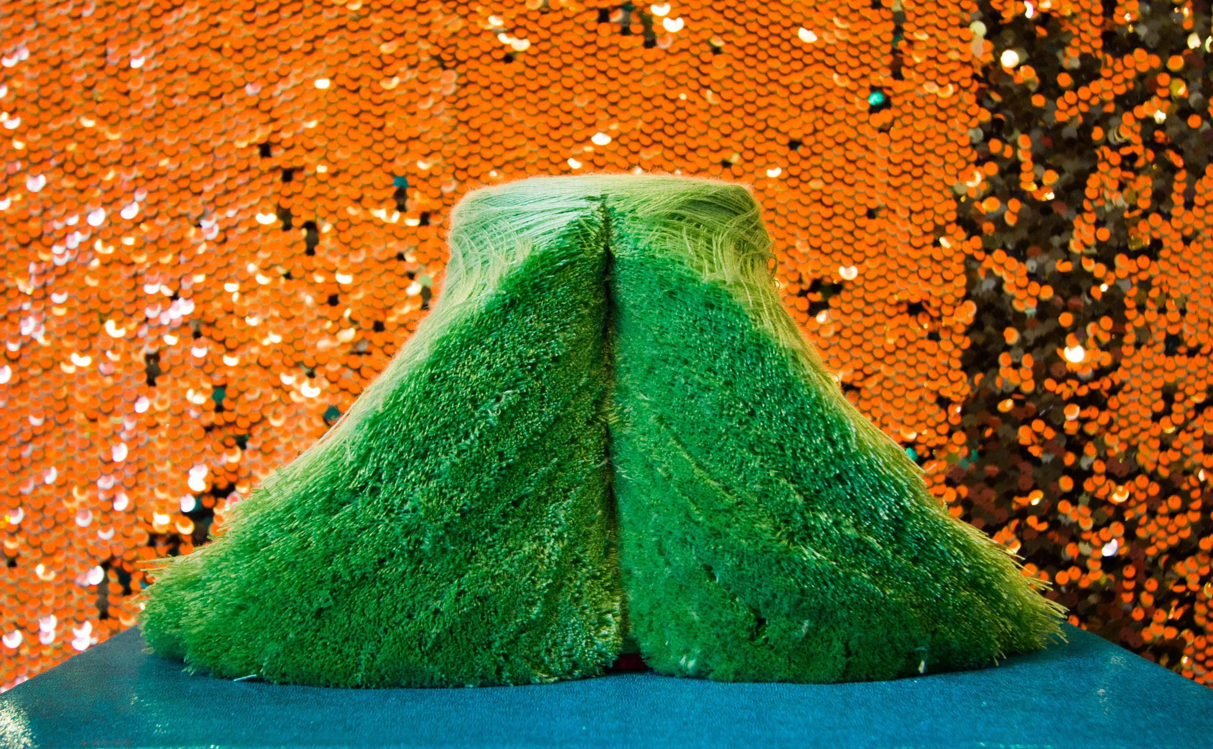 Portrait of a Coo Fish