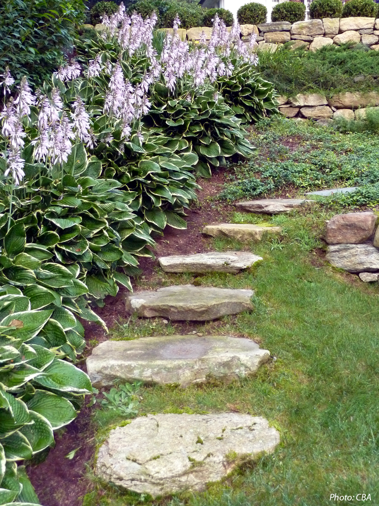  As detailed in the 2010 article "Hillside Havens" in Backyard Solutions Magazine, CBA turned what had been a neglected, overgrown hillside into unique, usable spaces. Graceful, curving stone walls tie three terraced spaces together, creating a unifi