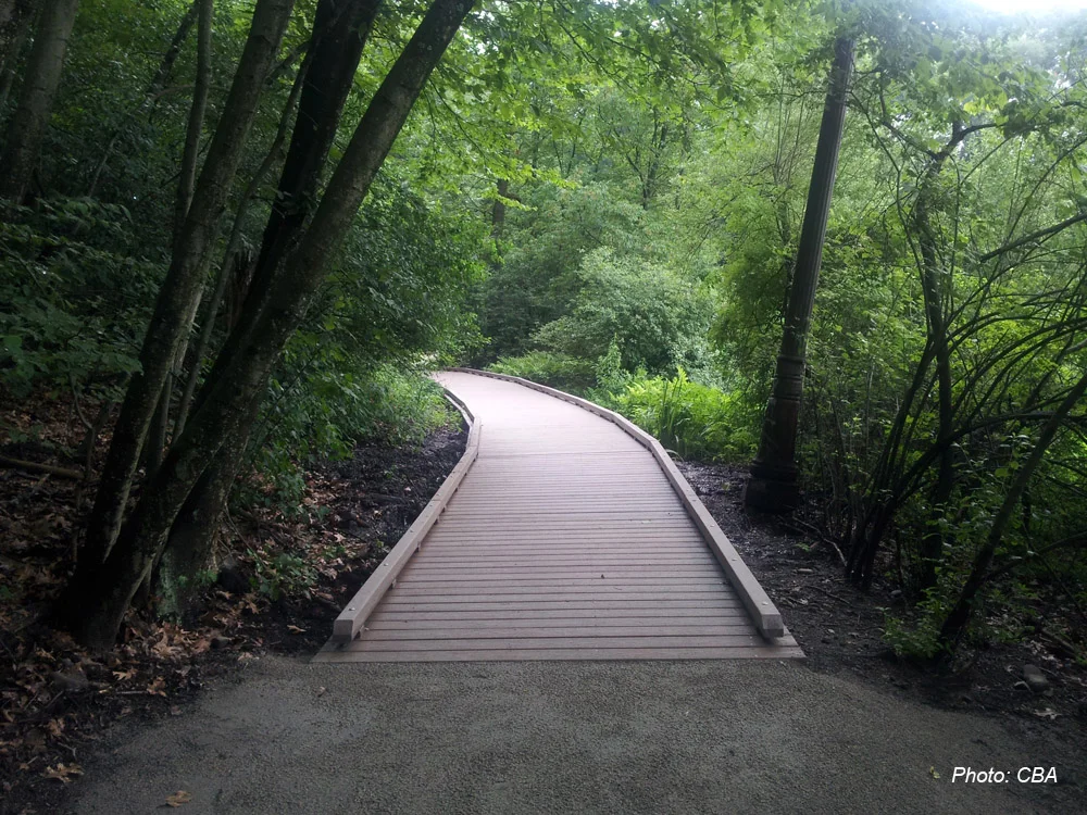 Wards Pond_2.jpg
