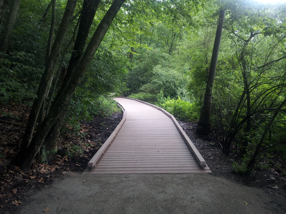 WARDS POND BOARDWALK