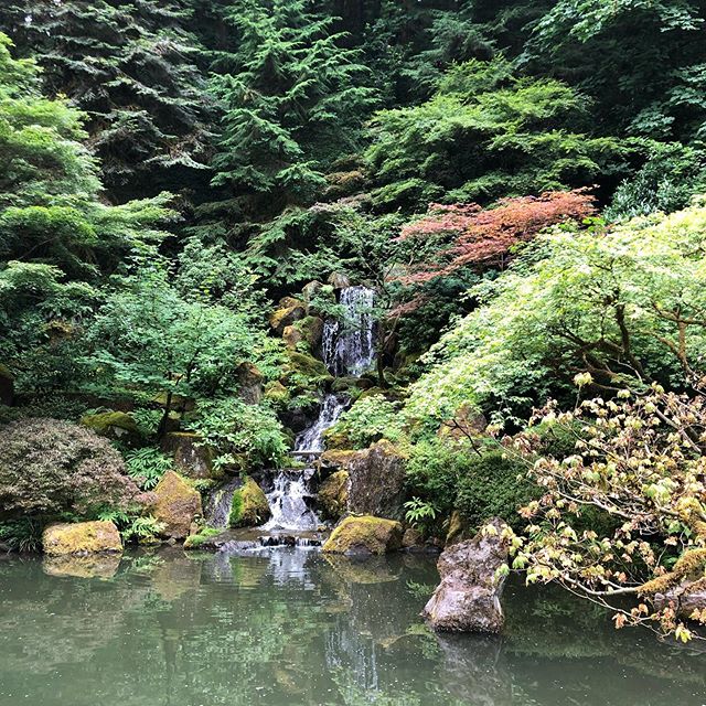 CBA vacation report! One of the CBA principals visited the Pacific Northwest over the 4th of July week and stopped in at the Japanese Gardens in Portland, OR. What a serene space! (Not pictured: 4 year old trying to touch everything, hordes of other 