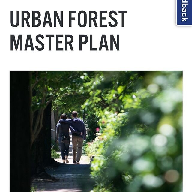 Urban Forest Master Plan — Green Cambridge