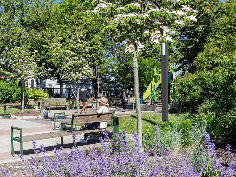 Eden Park_2-cropped.png