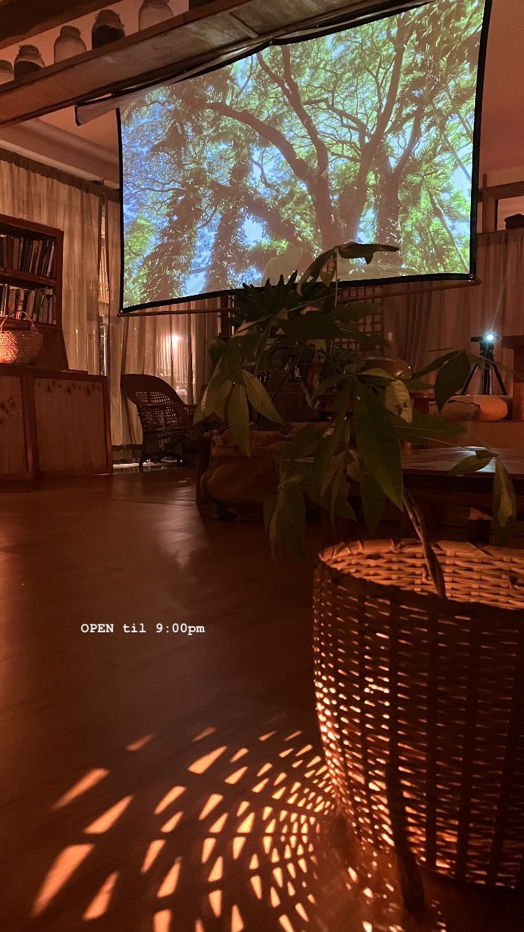 1D42612D-25C2-4098-9C6C-8CE04C4E46F7 2.JPG