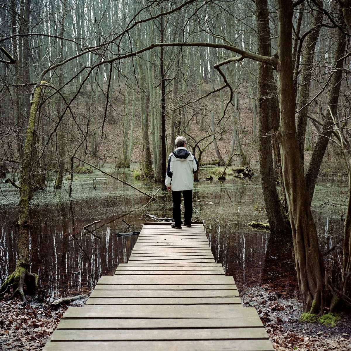 nationalpark_jasmund.jpg