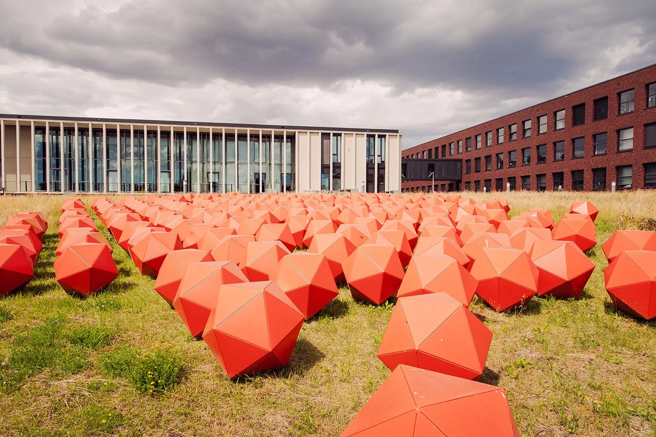  The  Friedrich-Loeffler-Institut  (FLI), is the Federal Institute for Animal Health of Germany, that country's leading animal disease center. The institute was founded in 1910 and named for its founder Friedrich Loeffler in 1952. The FLI is situated