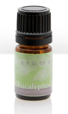 Eucalyptus.jpg