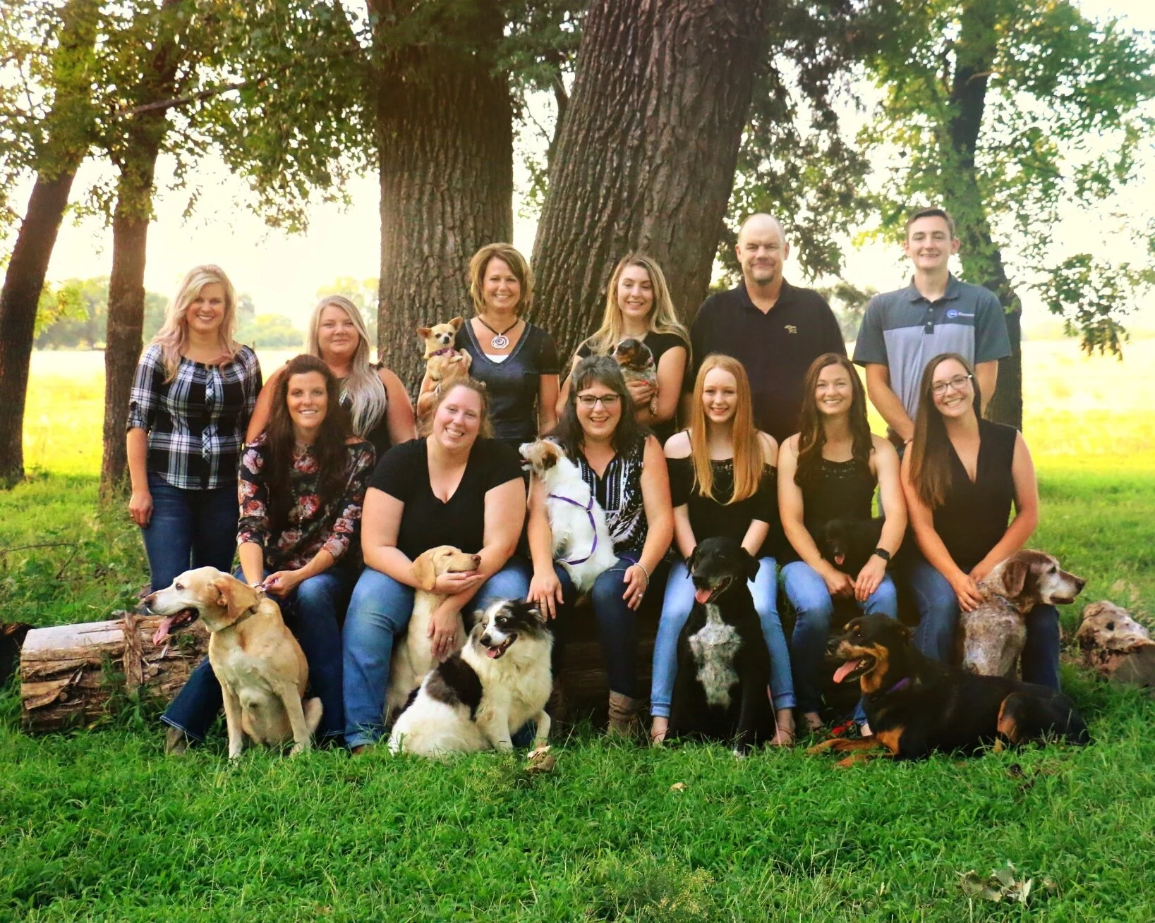 neutering a 2 year old dog