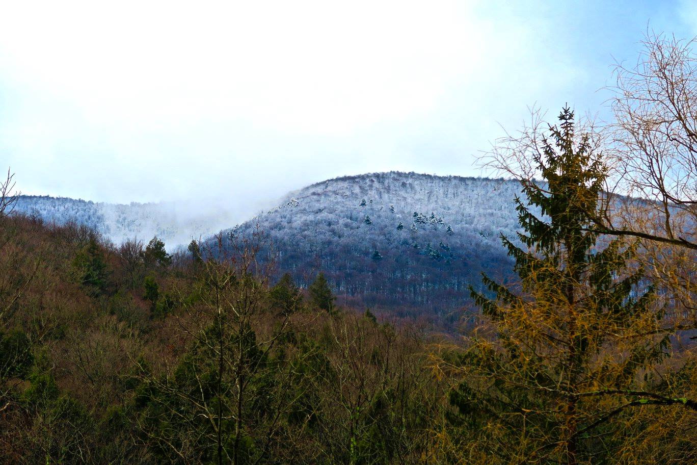 mountain.jpg
