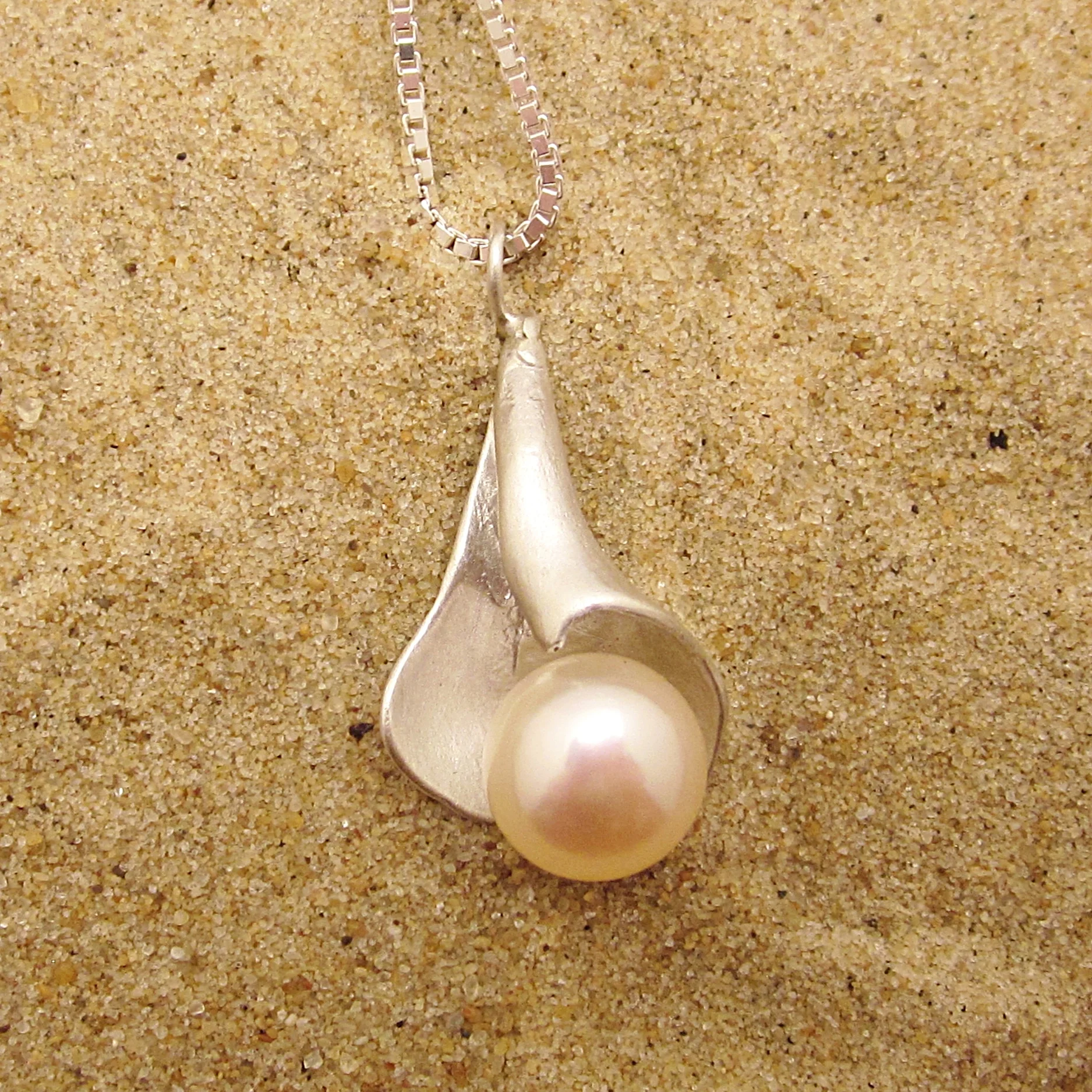 Wide Whelk Light.JPG