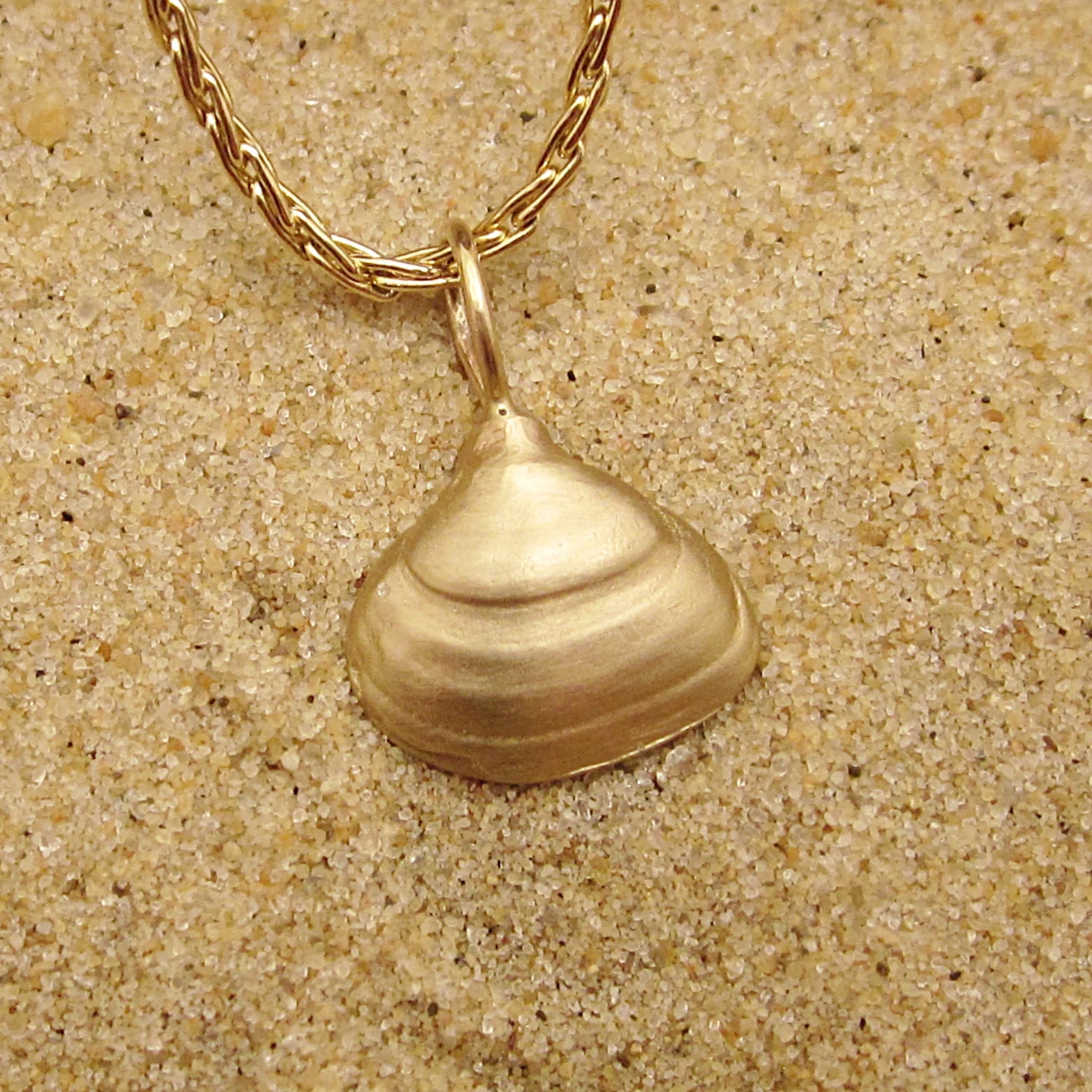 Gold clam shell.JPG