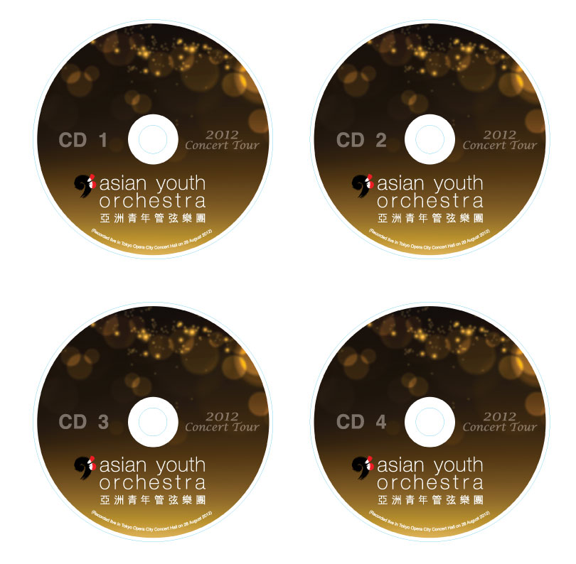 CD-AYO2012.jpg