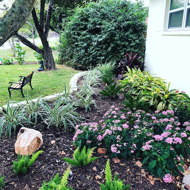 This is a landscape coaching job I did where I coached the owners through the project and they did all the labor. They were very pleased with the results.