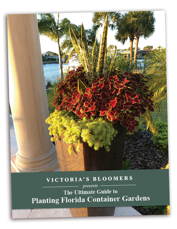 Ultimate Guide to Florida Container Gardening Cover copy 2.png