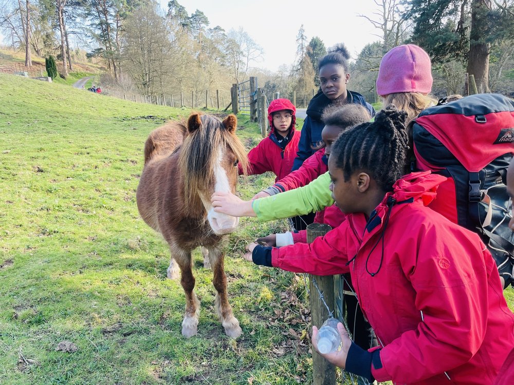 Pendarren March 2023 — Earlsmead Primary School