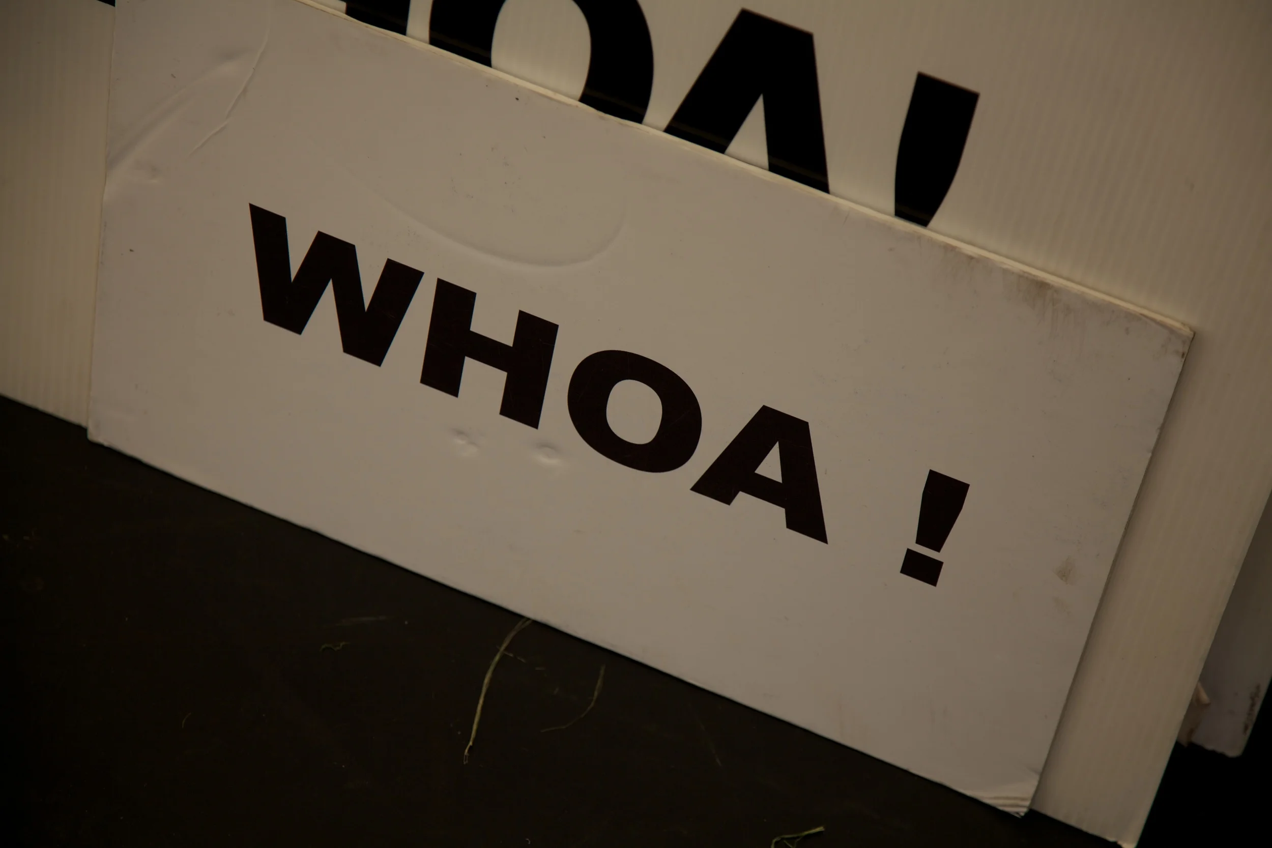 Gruff Rhys WOMAD © Marc Aitken 2014 www.marcaitken.com 102014-07-272014.jpg