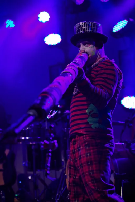 The Levellers (c) Marc Aitken 2013.jpg 78.jpg