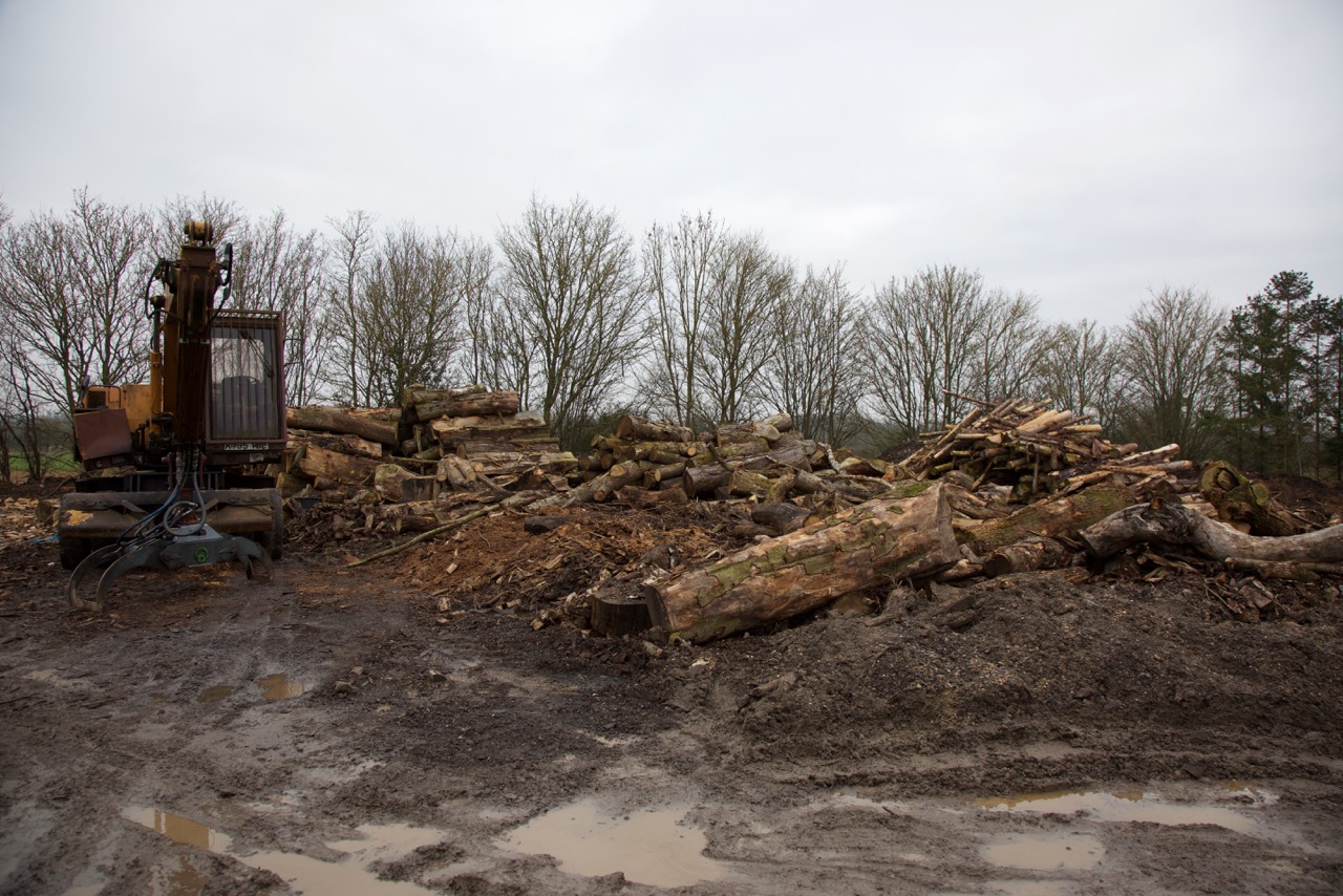 Logs and diggers pre the " magick"