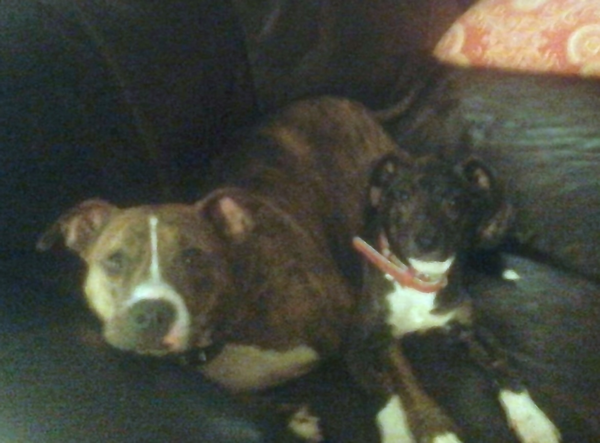Coraline is relaxing with Dad and big sister, Isis.