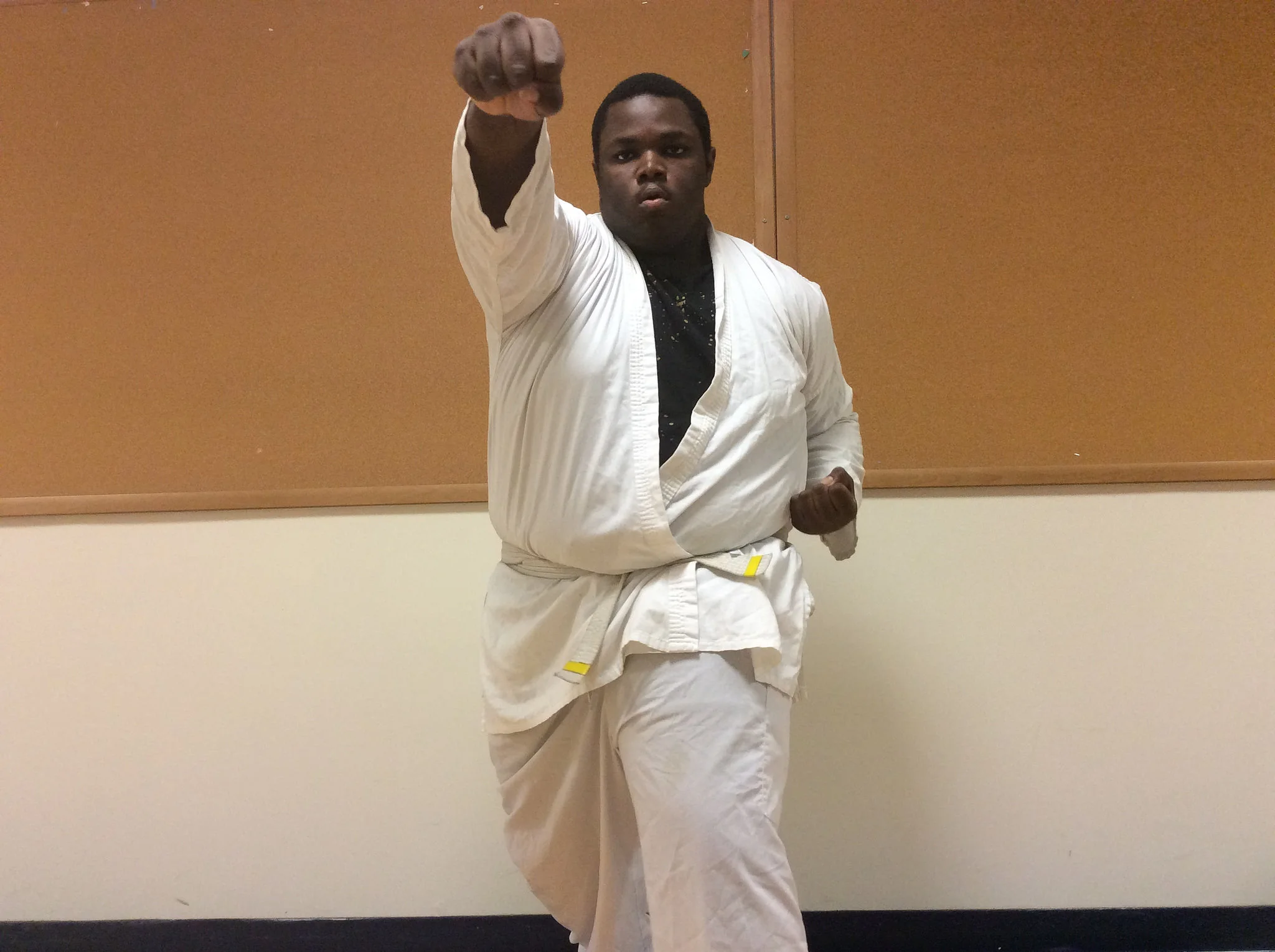 Taekwondo, The Way Of Fist And Foot