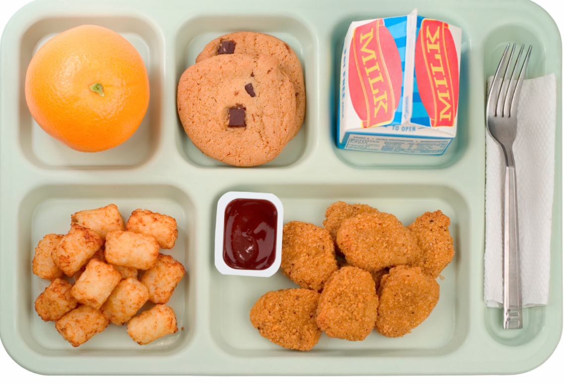 School Lunches! Are They Real or Fake?