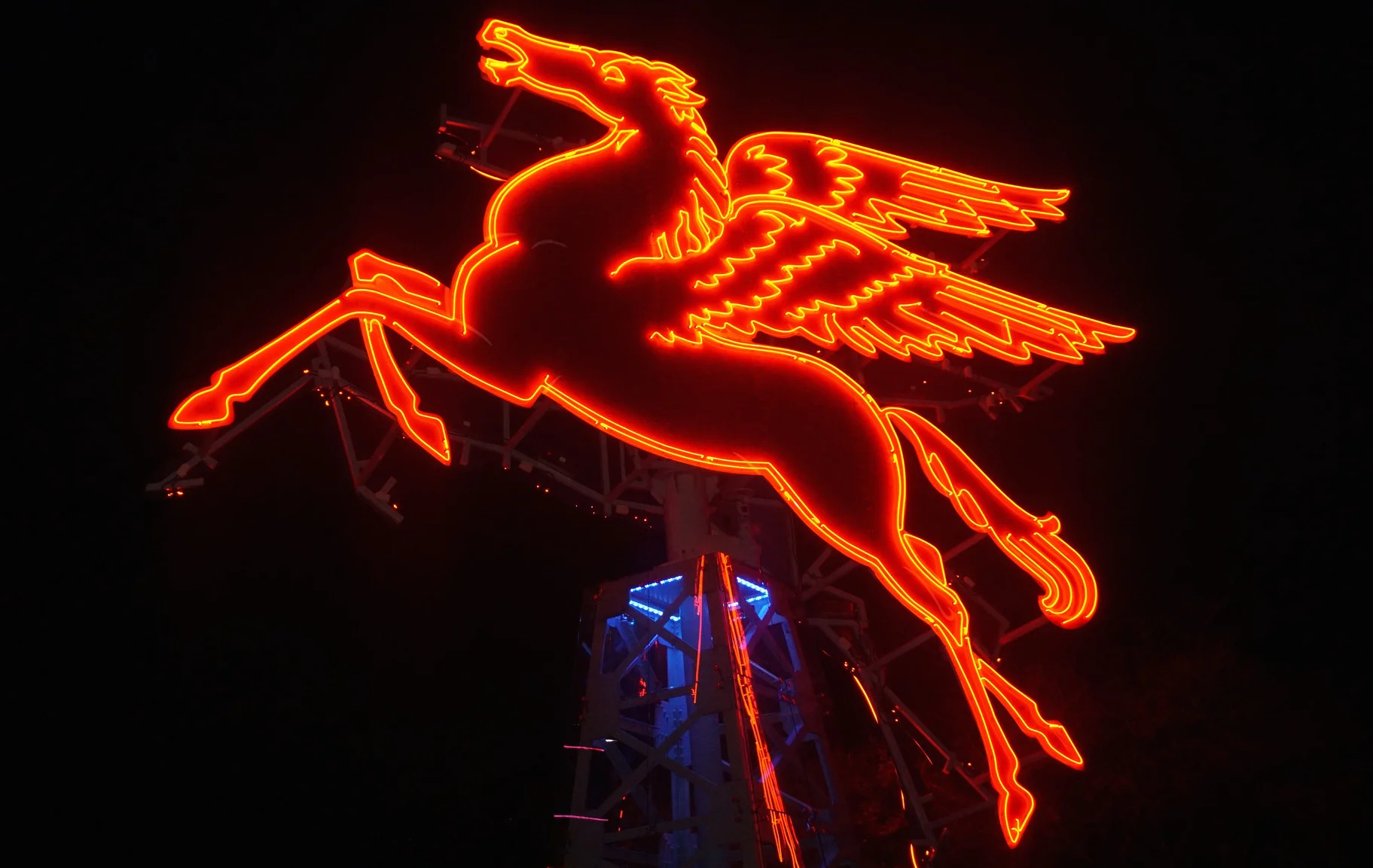 Dallas_ariyana_MobilHorse.jpg