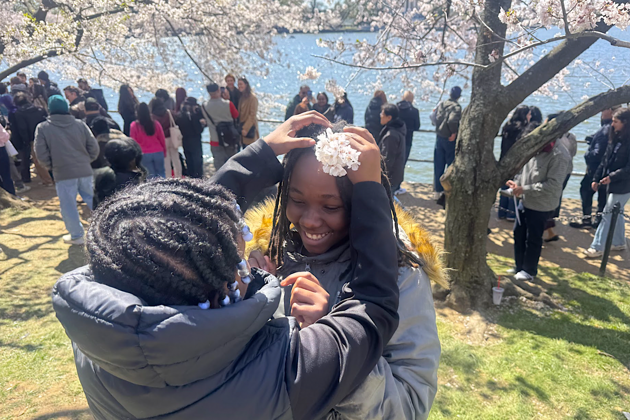  March 28, 2026. FNN Saturday Explorers at this year's Cherry Blossom Festival. 