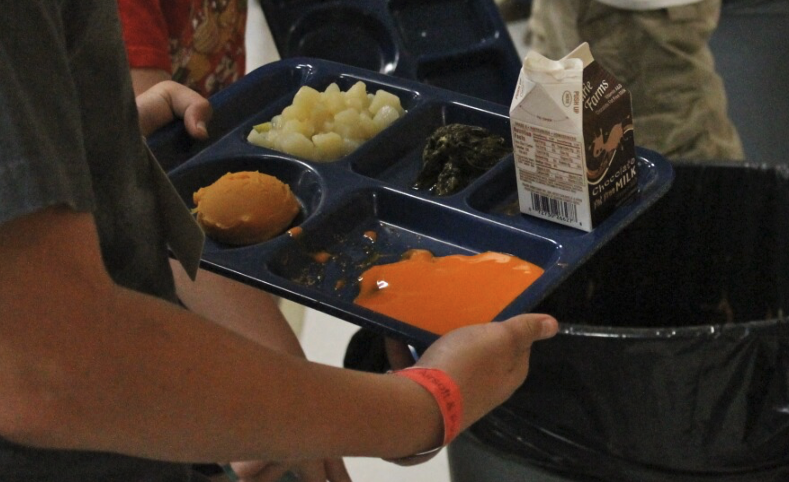Reducing Food Waste at School