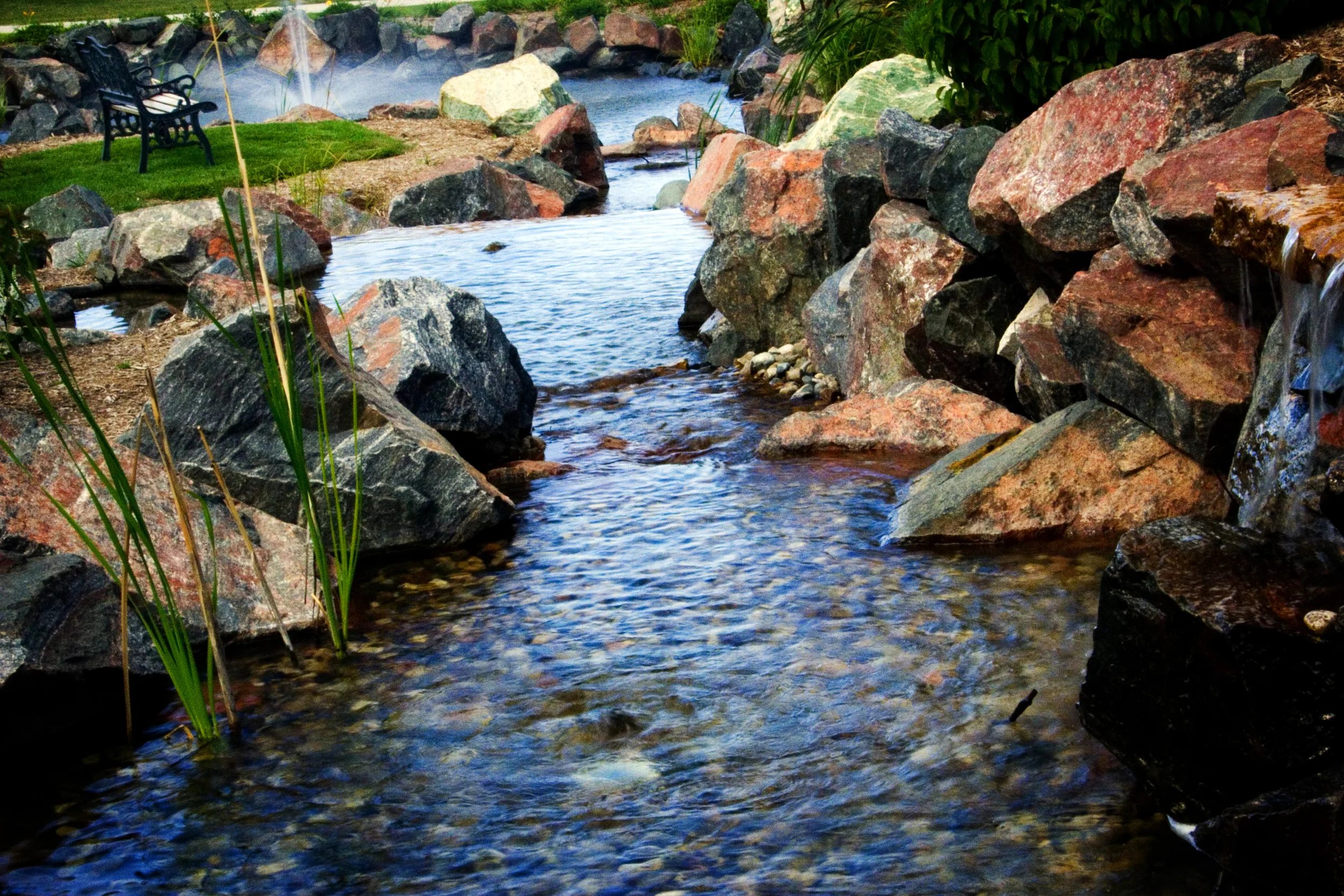 _MG_6569.jpg