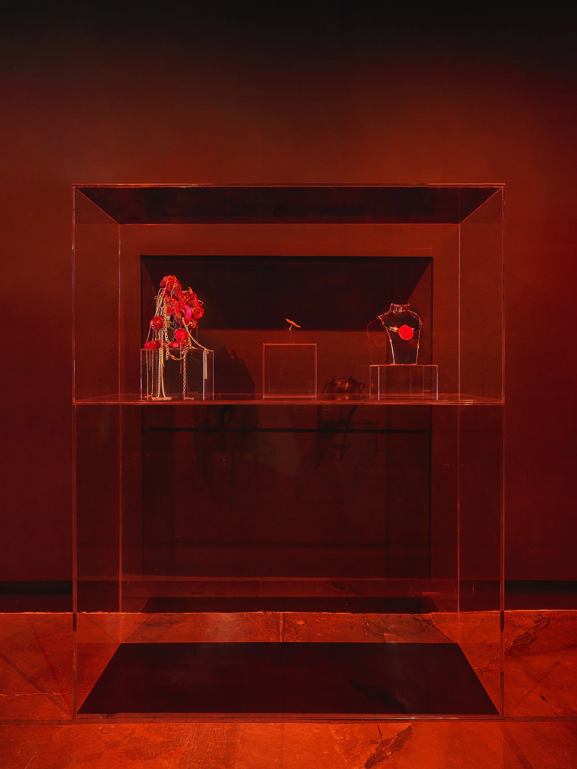 Plexi Case.jpg