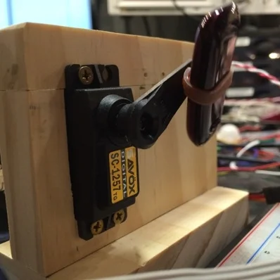 How To Compete in Your Company's FitBit Walk Competition While Injured