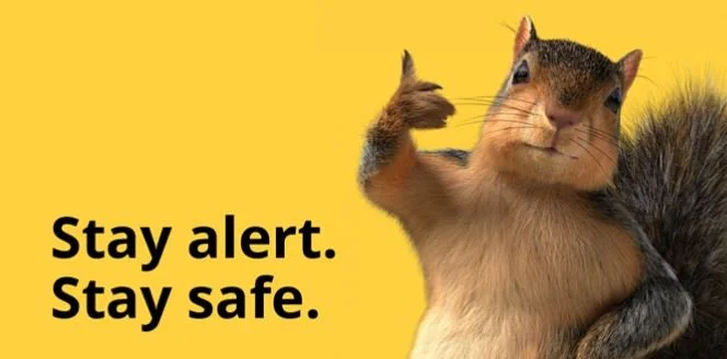 SCE: Can You Dig It?