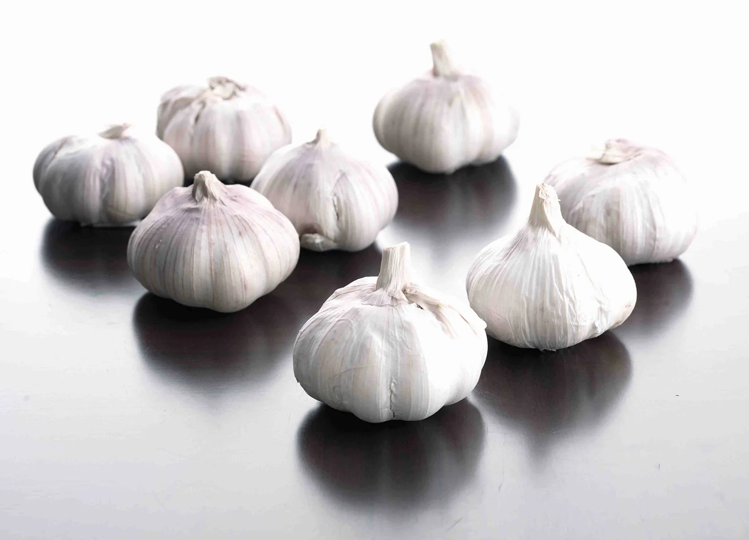 Studies in Garlic 0002.jpg