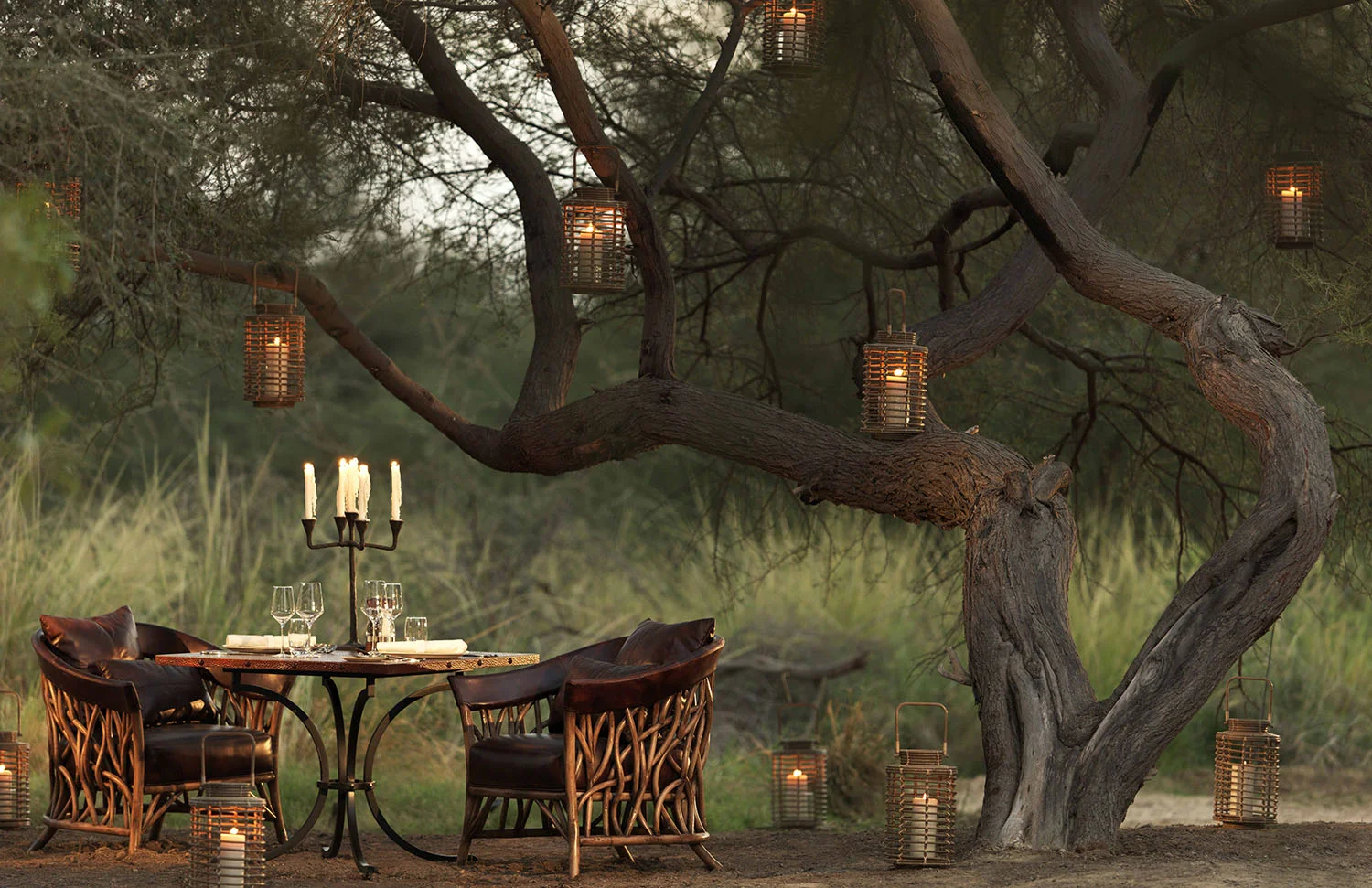 AAS Dining by Design_0029.jpg