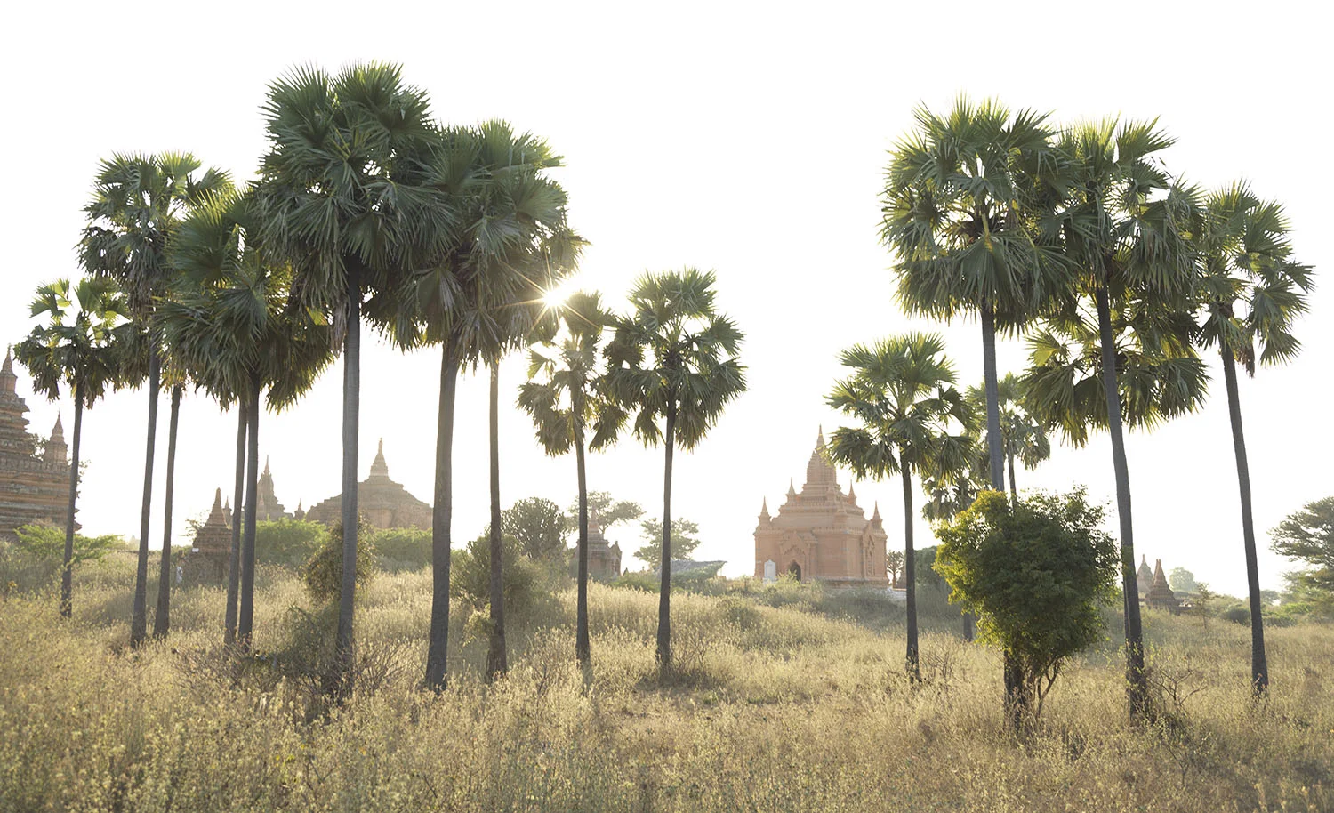 Bagan_0170.jpg