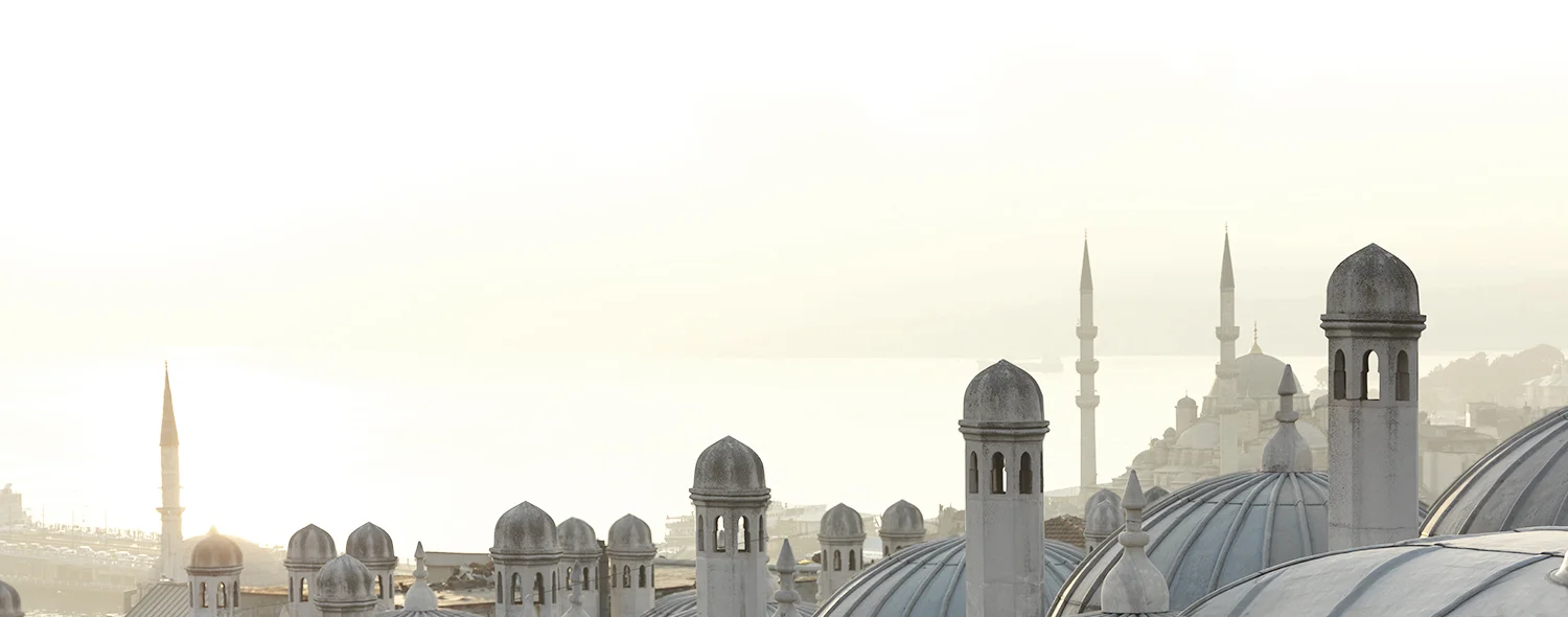 Golden Horn_0006.jpg