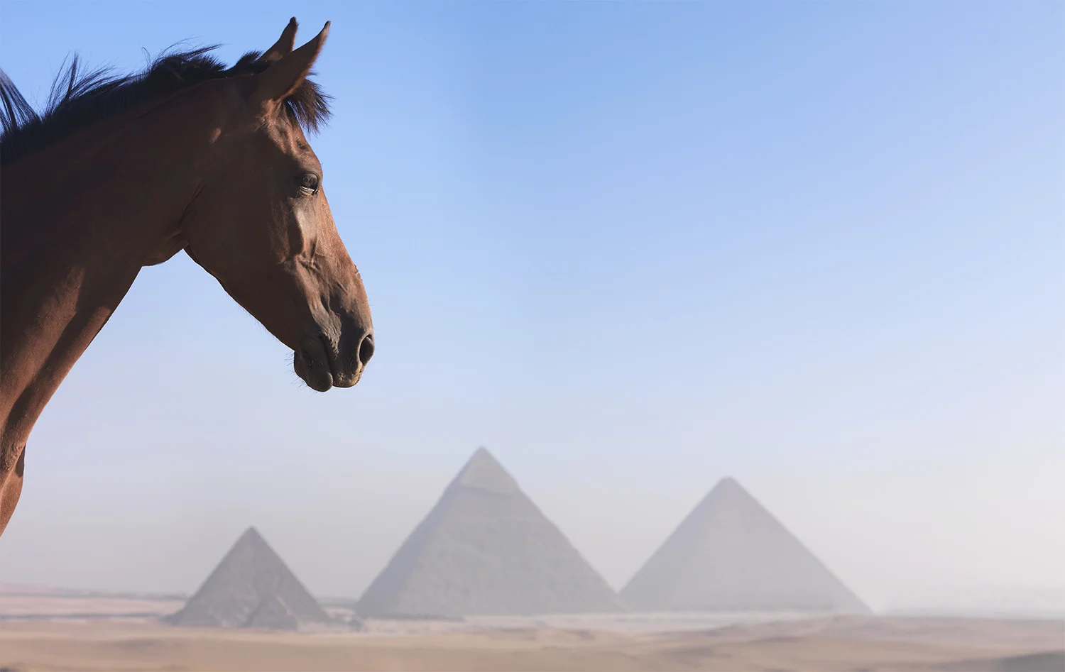 Pyramids _0064.jpg