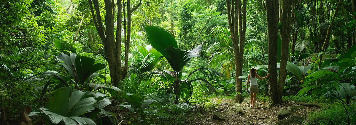 Botanical Trail 17 HR RGB.jpg